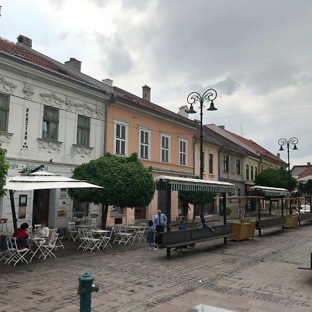 Big Modern Doubleroom Near Cathedral Кошице Екстериор снимка