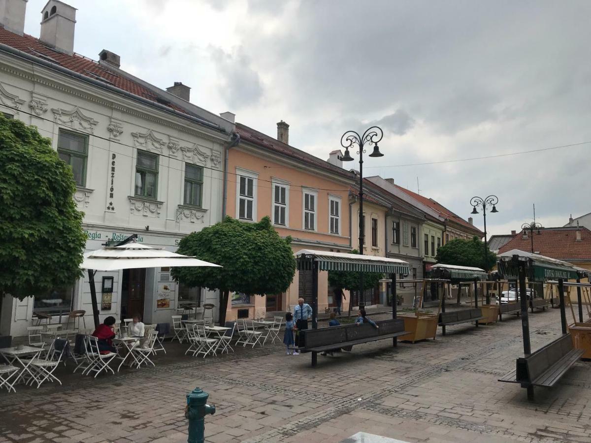 Big Modern Doubleroom Near Cathedral Кошице Екстериор снимка