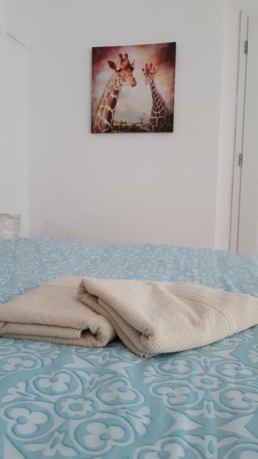 Big Modern Doubleroom Near Cathedral Кошице Екстериор снимка